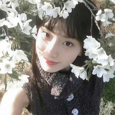 霸王贵妃